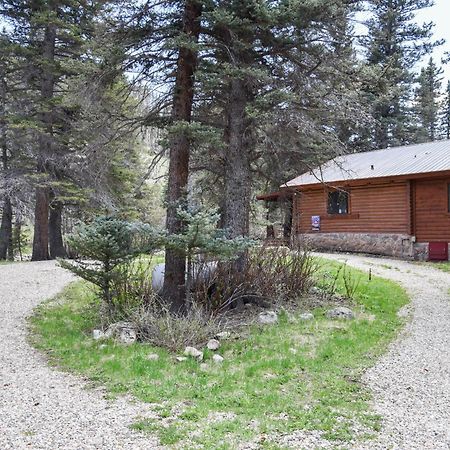 Bear Bait Cabin In Upper Valley With High Speed Wifi Red River Exterior photo