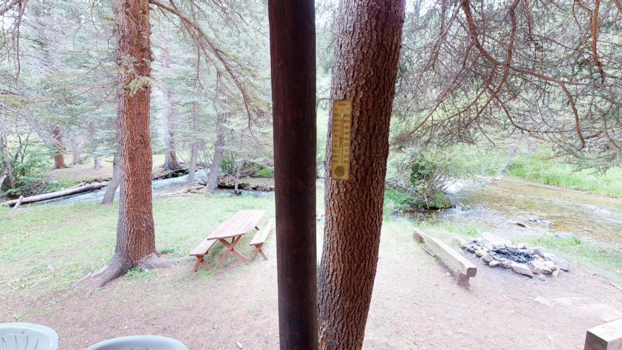 Bear Bait Cabin In Upper Valley With High Speed Wifi Red River Exterior photo